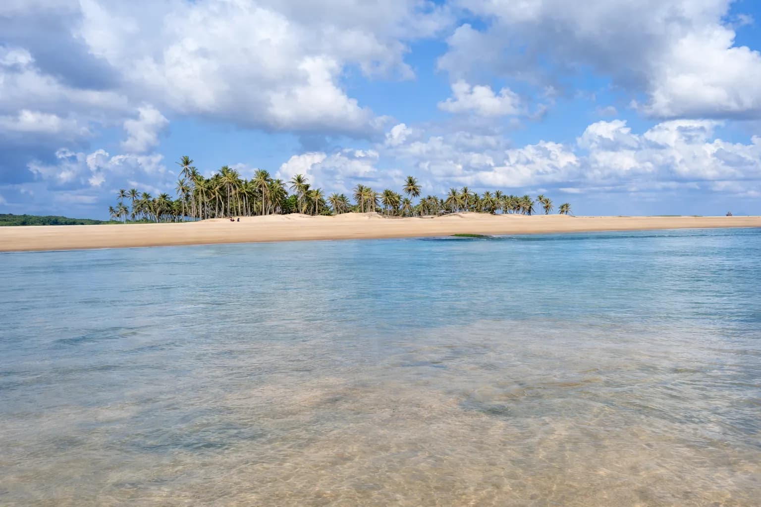 Estuário do Rio Curu